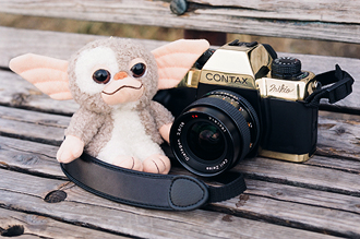 contax&LY